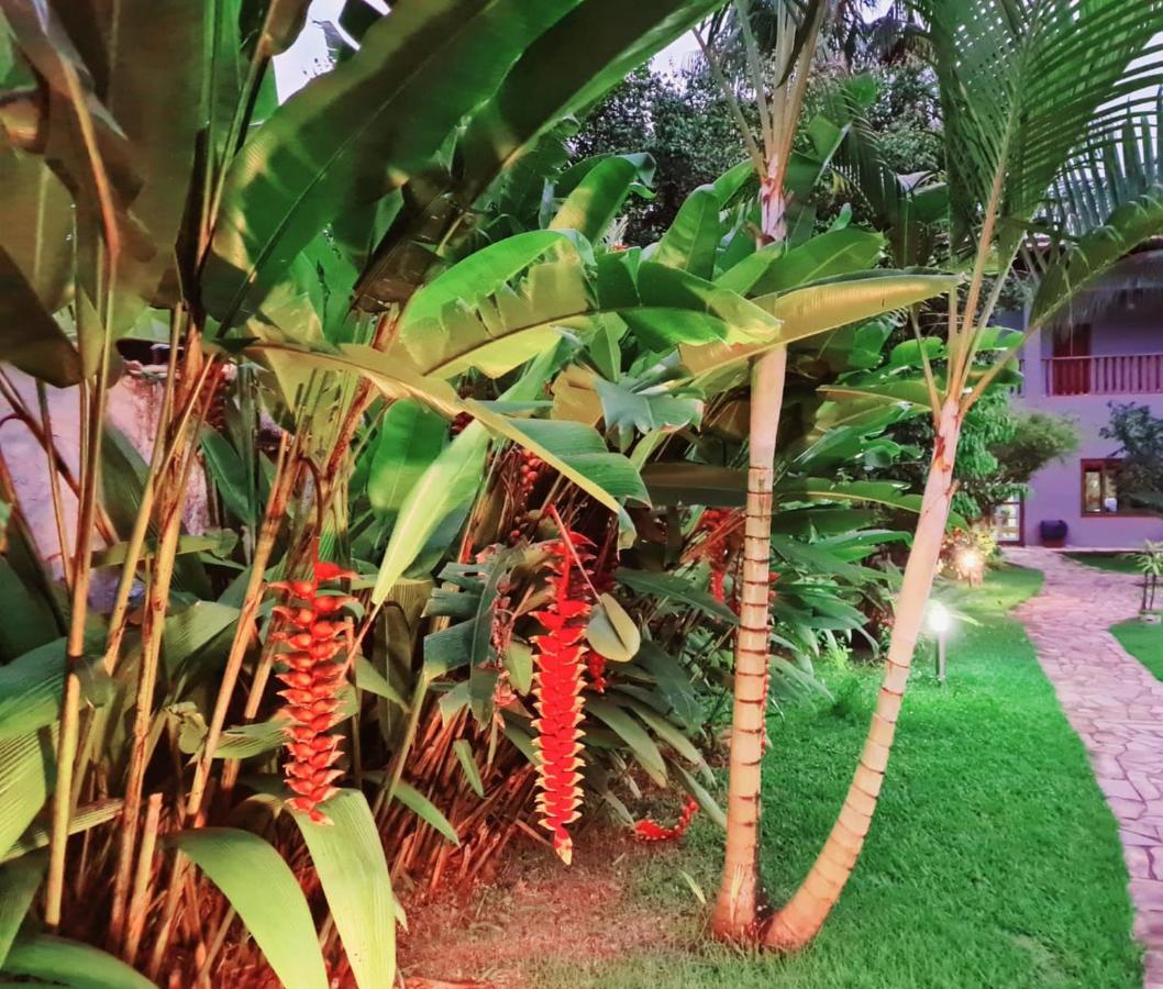 Pousada Recanto Paraty Ngoại thất bức ảnh